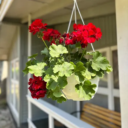 Lesna Przystan ロッジ *