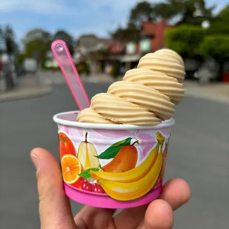 Lodge Lesna Przystan