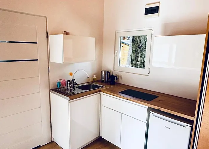 Lesna Przystan 山林小屋 *