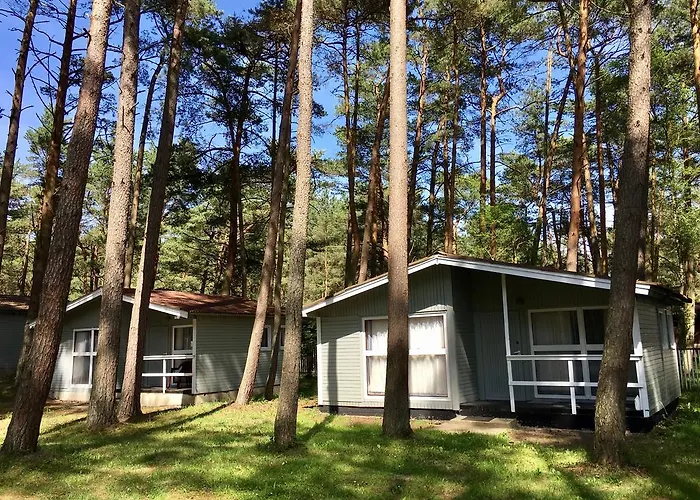 Lesna Przystan 山林小屋 *